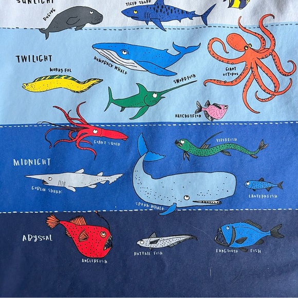 Mini Boden Sea Creatures Shirt - Picture 4 of 5